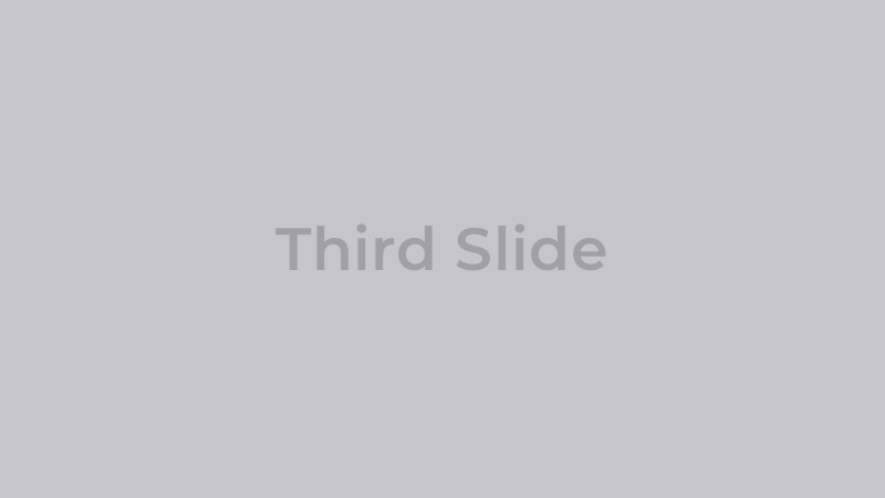 Slide 3