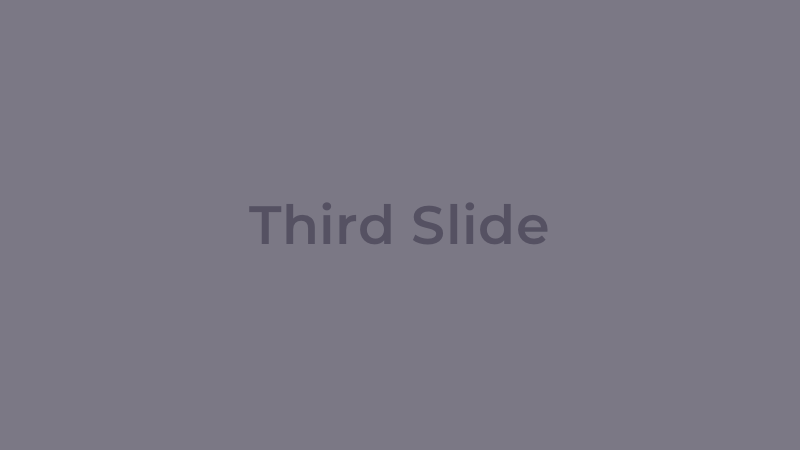 Slide 3